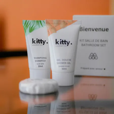 Fox House - Jolie T2 A Orens 公寓 Saint-Orens-de-Gameville