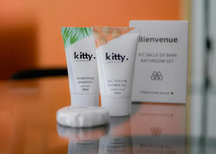 Fox House - Jolie T2 A Orens Apartman Saint-Orens-de-Gameville